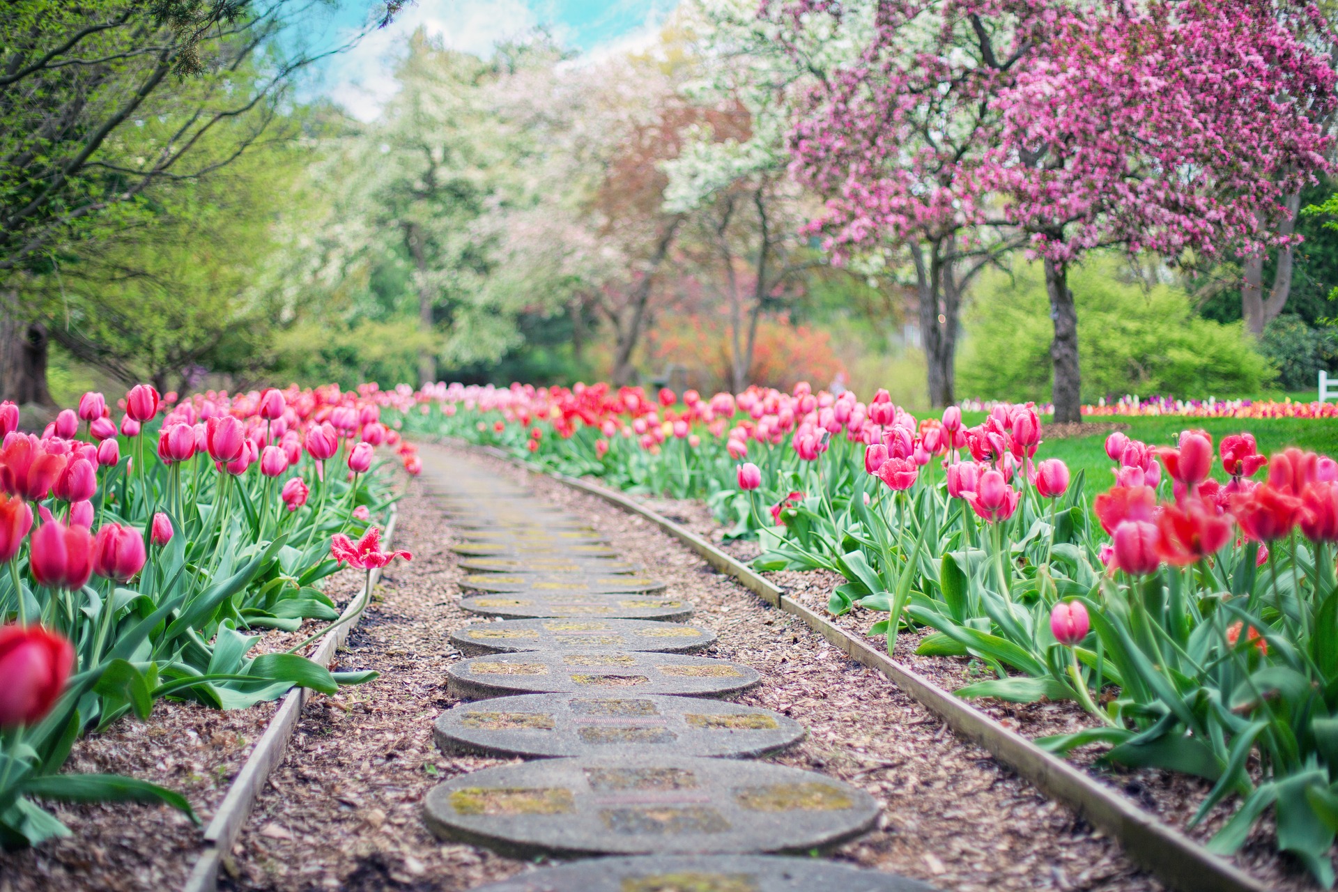 pathway 2289978_1920